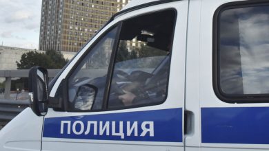 Фото - Полицейские в Петербурге продали служебные машины в 6 раз дешевле их стоимости